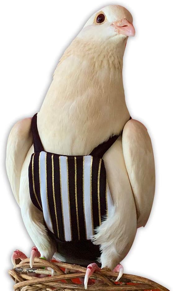 Bev's Birds Boutique - Regular Flyper, Regal Size 6.5