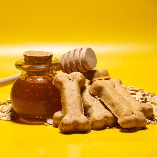 Activa 2lb Honey Bear Gourmet Dog Biscuits | Crunchy Dog Treats | (Medium, Honey)