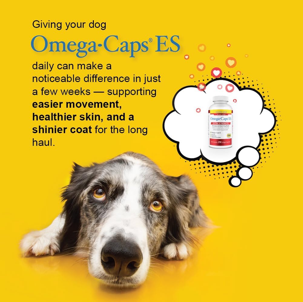 Extra Strength for Large and Giant Dogs Value Size Omega-3 and Omega-6 Fatty Acid Antioxidant Supplement Vet Formulated Made in USA Skin Coat Joint Heart and Immune Health 250 Softgel Capsules