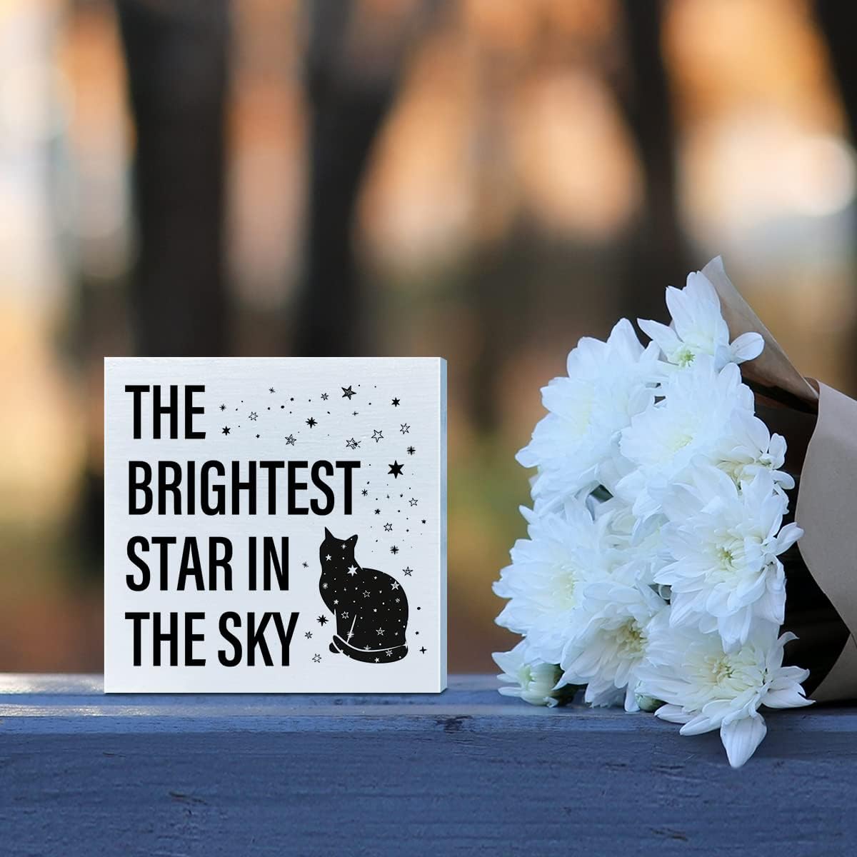 Memorial Gifts for Lose of Cat, Pet Sympathy Gifts Cat Remembrance Gifts Loss of Cat Bereavement Gifts, The Brightest Star in The Sky, Cat Memorial Desk Decor Wooden Box Sign