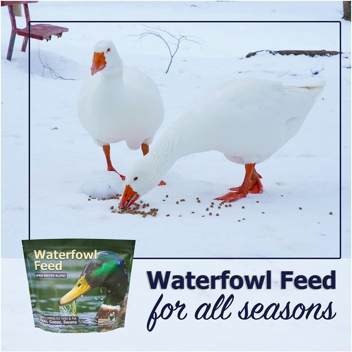 Natural Waterscapes Waterfowl Feed (5 lb) Floating Duck Food | for Wild Ducks, Pet Ducks, Geese, Swans