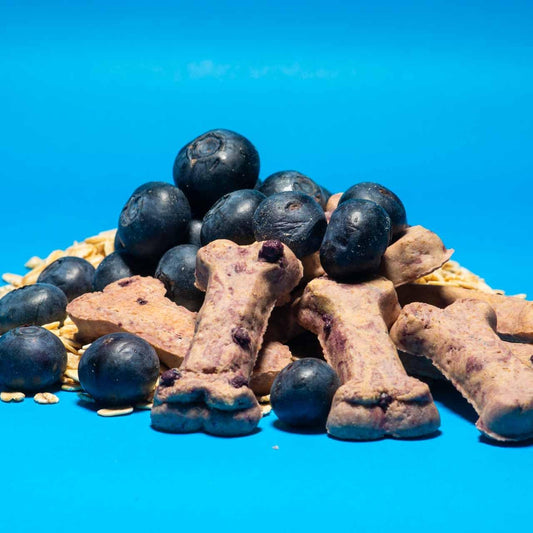 Activa 2lb Blueberry Gourmet Dog Biscuits | Crunchy Dog Treats | (Medium, Blueberry)