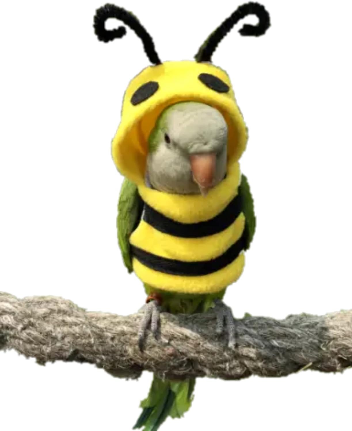 Bird Costume Diaper Flight Suit Bee Shape Clothes Cosplay Photo Prop for Parrots Lovebird Budgie Parakeet Cockatiel Sun Conure, Small Animals Apparel (Bee Without Diaper, Medium), Green (BPF1)