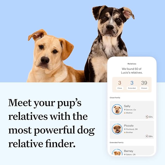 Wisdom Panel Essential Dog DNA Kit: Most Accurate Test for 365+ Breeds, 30 Genetic Health Conditions, 50+ Traits, Relatives, Ancestry - 1 Pack