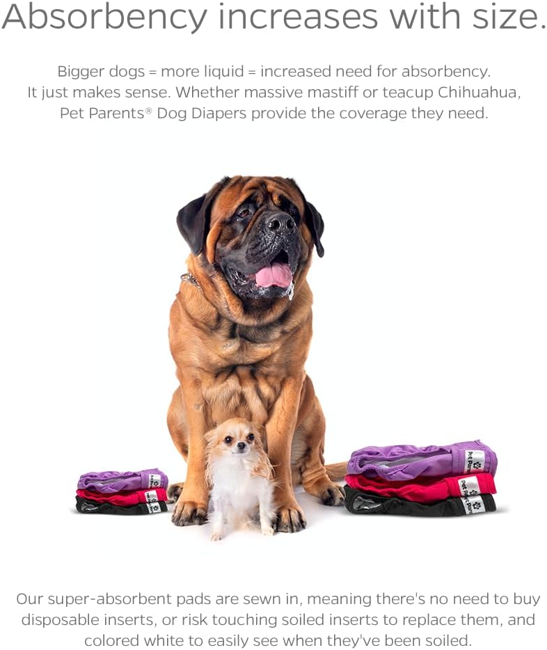 Pet Parents® Washable Dog Diapers (3pack) + Extendrs® of Durable Doggie Diapers, Premium Dog Diapers Female (Small, Princess)