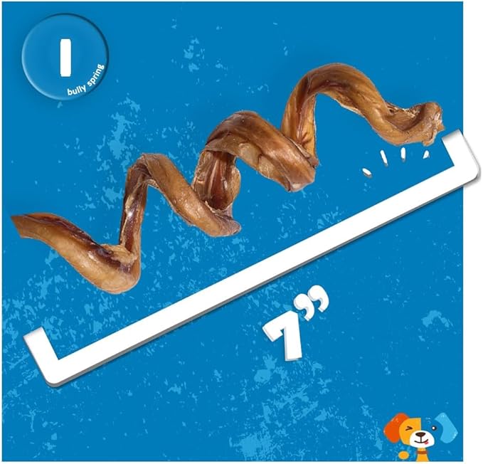 Jack&Pup Bully Springs for Dogs | 7" Spiral Bully Sticks for Dogs | Long Lasting, Stimulating, Odor Free Bully Sticks (1 Ct)