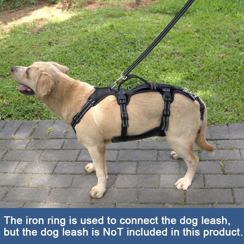 Coodeo Dog Lift Harness, Support & Recovery Sling, Pet Rehabilitation Lifts Vest Adjustable Breathable Straps for Old, Disabled, Joint Injuries, Arthritis, Paralysis Dogs Walk (Black,M)