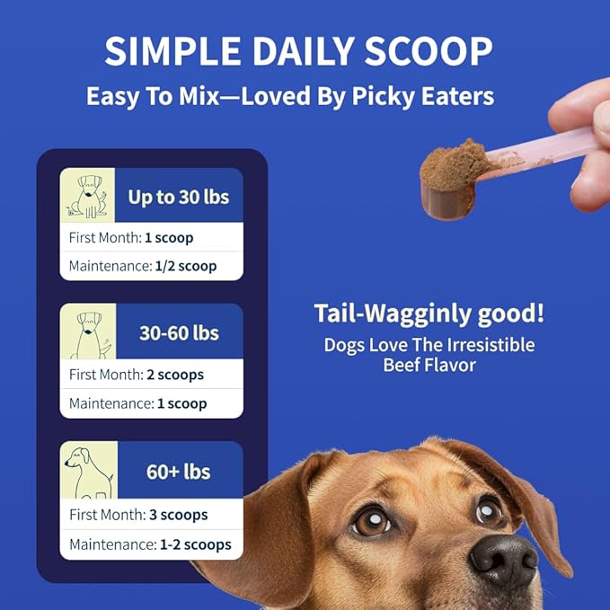 Dog Joint Supplement Powder with Glucosamine, Chondroitin & MSM – Hip & Joint Support for Mobility, Stiffness & Flexibility – Mushroom Blend with Lion’s Mane, Cordyceps & Reishi – Zoomy