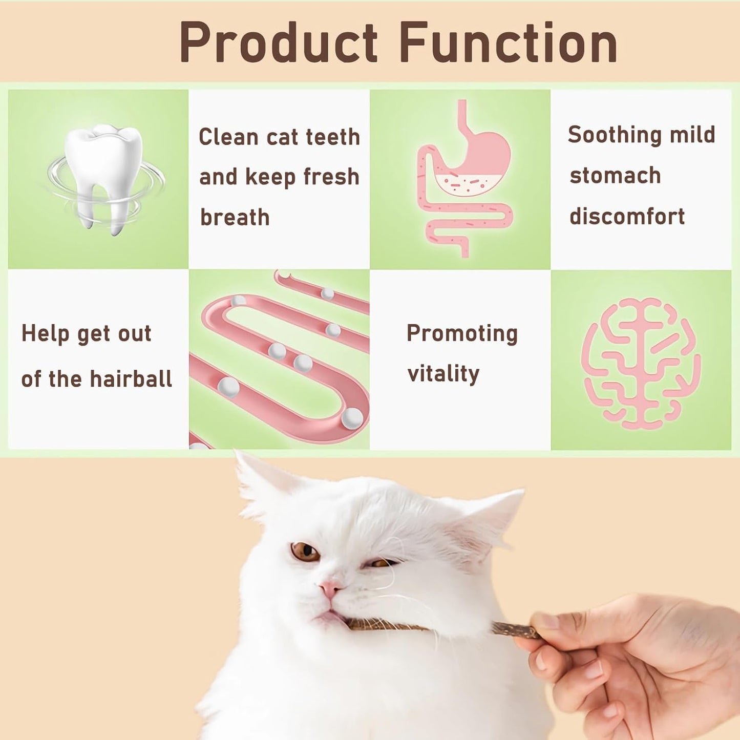 Natural Silvervine Catnip Chew Sticks (12 PC) - Edible Dental Chews for Cats & Kittens, Teething Relief Teeth Cleaning Toys