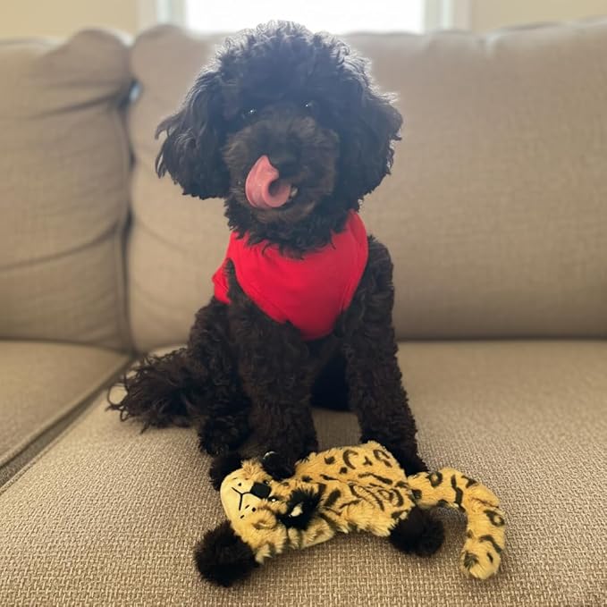 SPOT Skinneeez Flat Cat 11.5 Inch Stuffing-Free Plush Squeaky Dog Toy – Soft Interactive Toy for Mini and Small Dogs – Mess-Free Play for Light Chewers – Assorted Styles