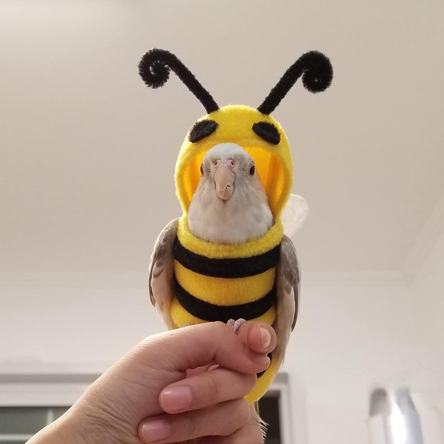 Bird Costume Diaper Flight Suit Bee Shape Hoodie Clothes Cosplay Photo Prop for Parrots Parakeet Cockatiel Sun Conure, Small Animals Apparel (Bee with Diaper, Medium), Green (BPF1)