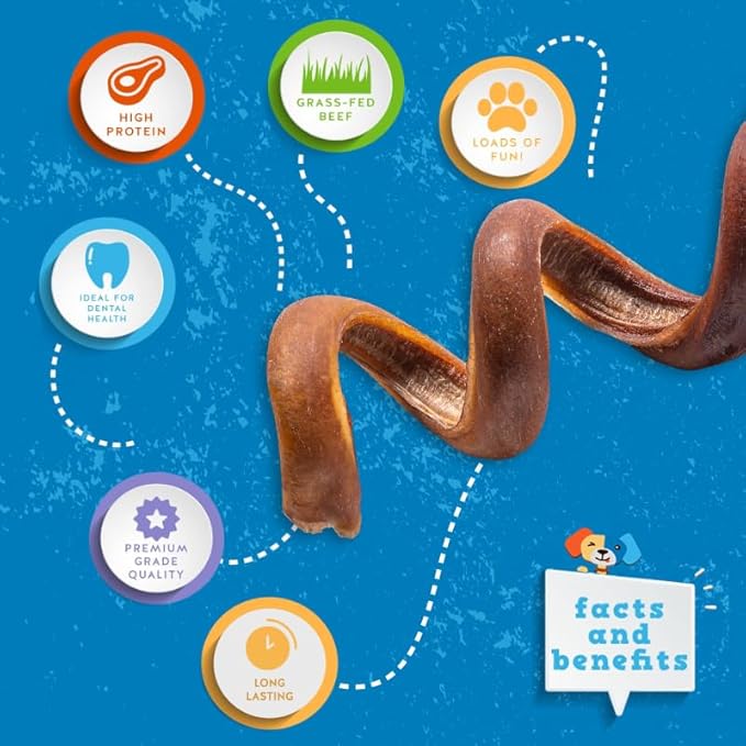 Jack&Pup Bully Springs for Dogs | 7" Spiral Bully Sticks for Dogs | Long Lasting, Stimulating, Odor Free Bully Sticks (8 Ct)