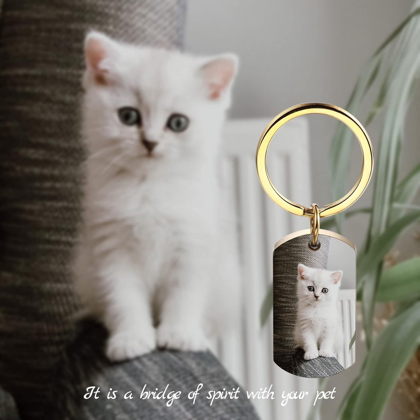 Personalized Cremation Urn Keychain for Pet Human Ashes Custom Photo/Name/Date Dog Cat Paw Print Pendant Stainless Steel Keyring Memorial Keepsake Keychain for Women Men (Style A3)