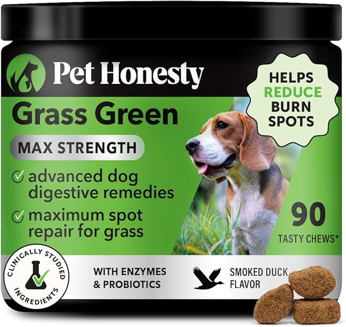 Grass Green Max Strength Burn Spot Chews for Dogs - Premium Formula - Dog Pee Lawn Spot Saver Supplement Caused by Dog Urine, Supports Healthy Digestion w/Probiotics + DL-Methionine - 90ct