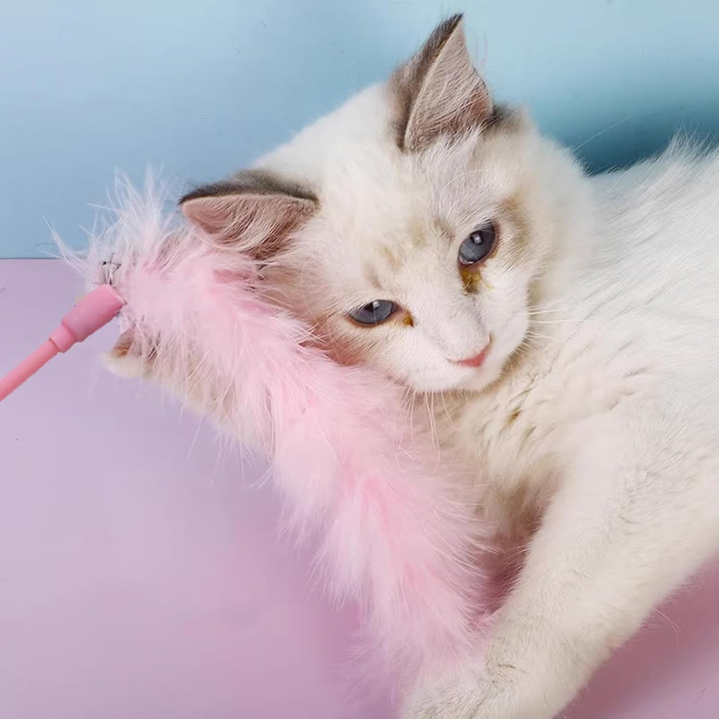 IUHKBH Cat Wand Toys, 6 PCS Interactive Cat Feather Toys Colorful Cat Teaser Wand with Bell for Cats and Kitties