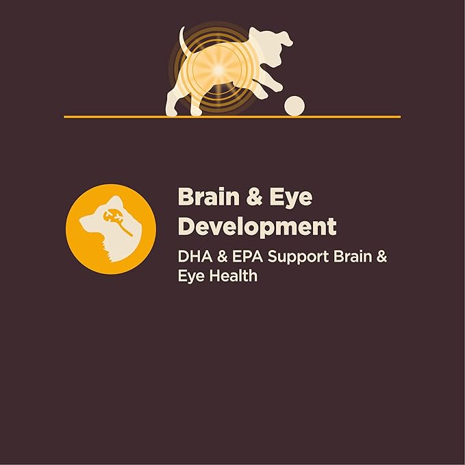 Wellness CORE Digestive Health Puppy Dry Dog Food, Wholesome Grains, Natural, Recipe for Dogs with Sensitive Stomachs, Recipe, (24-Pound Bag)