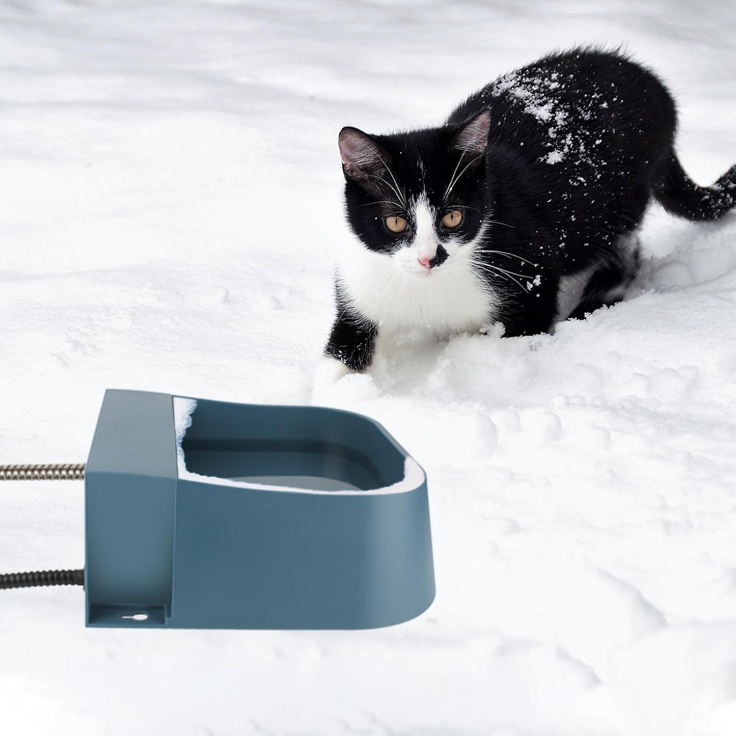 NAMSAN Automatic Water Dispenser for Dogs with Heater, Outdoor and Indoor, 2L Heated Water Bowl, Heated Watering Trough for Cats Chickens Rabbits Birds Bath Auto-Fill