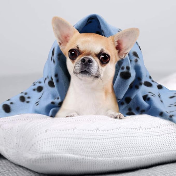 Comsmart Dog Blankets for Small Dogs, 6 Pack Puppy Blanket Cute Paw Print Pet Blanket for Dog, Puppy, Cat, Kitten, 24x28 inches, Blue