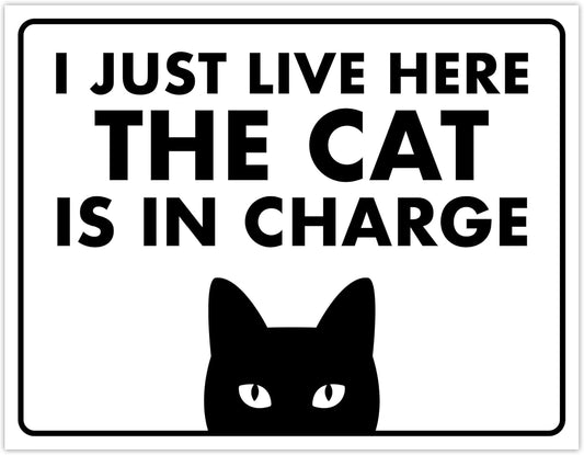 ENVISIONED Signage - I Just Live Here, The Cat is in Charge - Funny Sign, Laminated - 8.5" x 11" - Home Decor, Gift for Cat Lovers