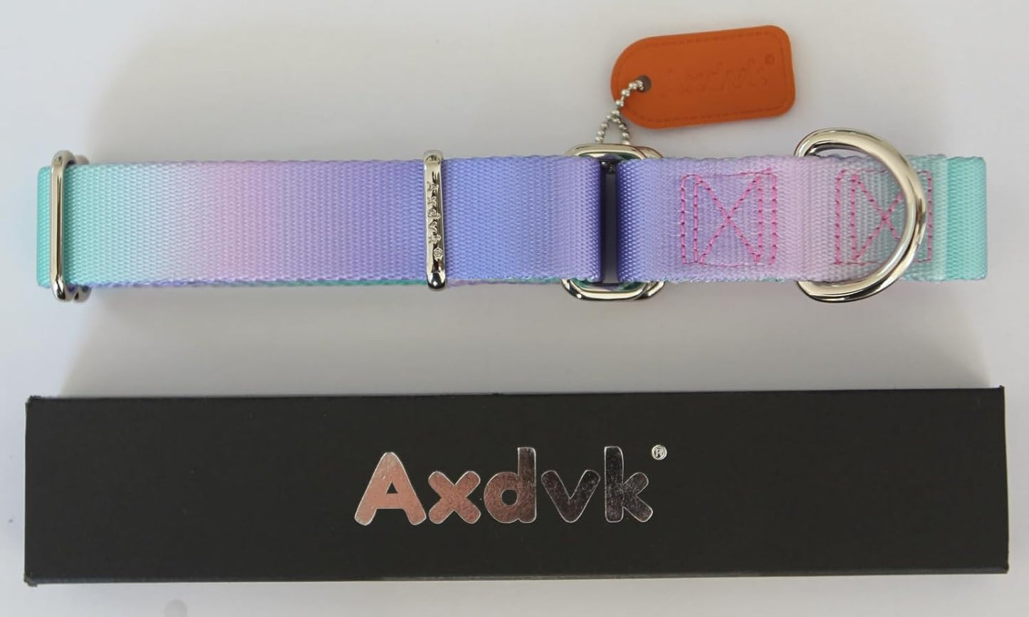 Martingale Dog Collar Colorful Gradient Fashionable - Anti-Escape Soft Durable Pets Collar for Walking Training Outdoor Daily Use -Large, Purple Green