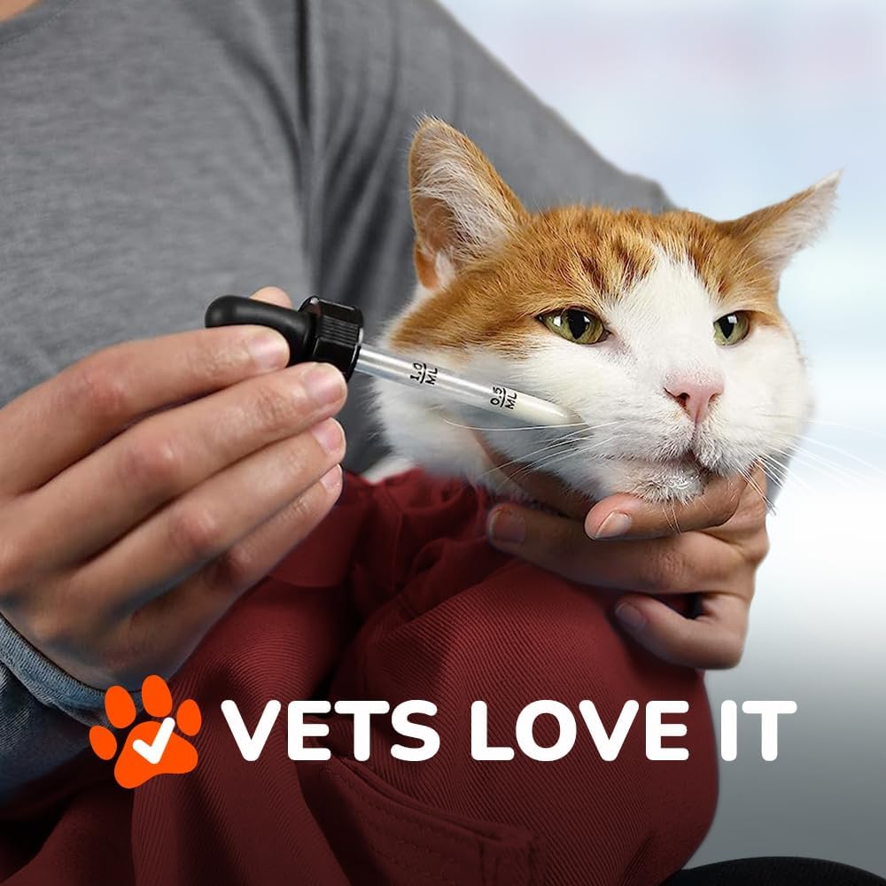 Cat-in-the-Bag Cozy Comfort Carrier - Extra Small Red Cat Carrier Soft and Pet Carrier for Nail Trimming, Vet Visits, Medication Administration, Dental Care, and Travel