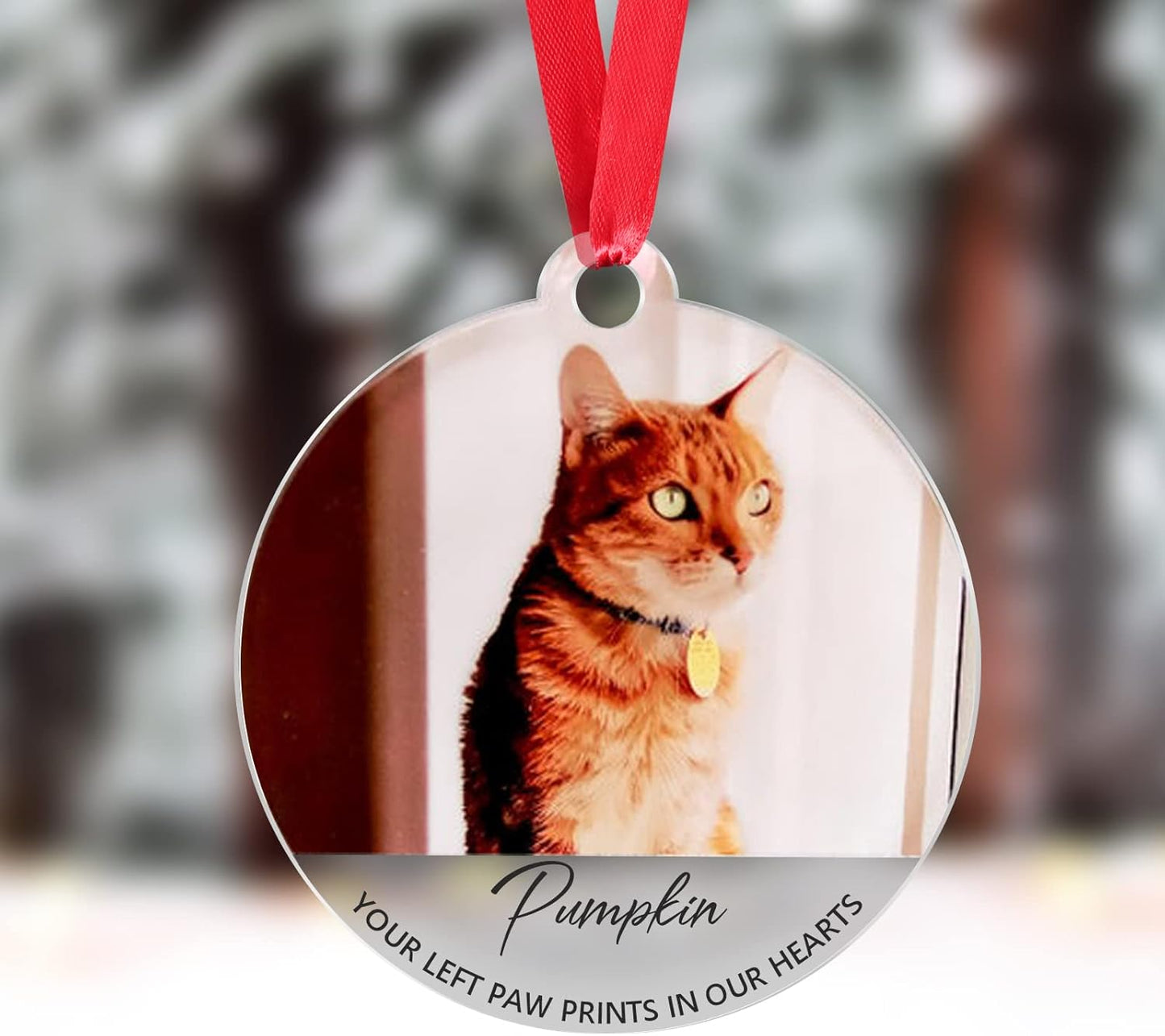 Cat Memorial Ornament, Christmas Photo Ornaments, Cat Lover Memorial Gift, Custom Pet Memorial Ornament, Personalised Tree Decorations