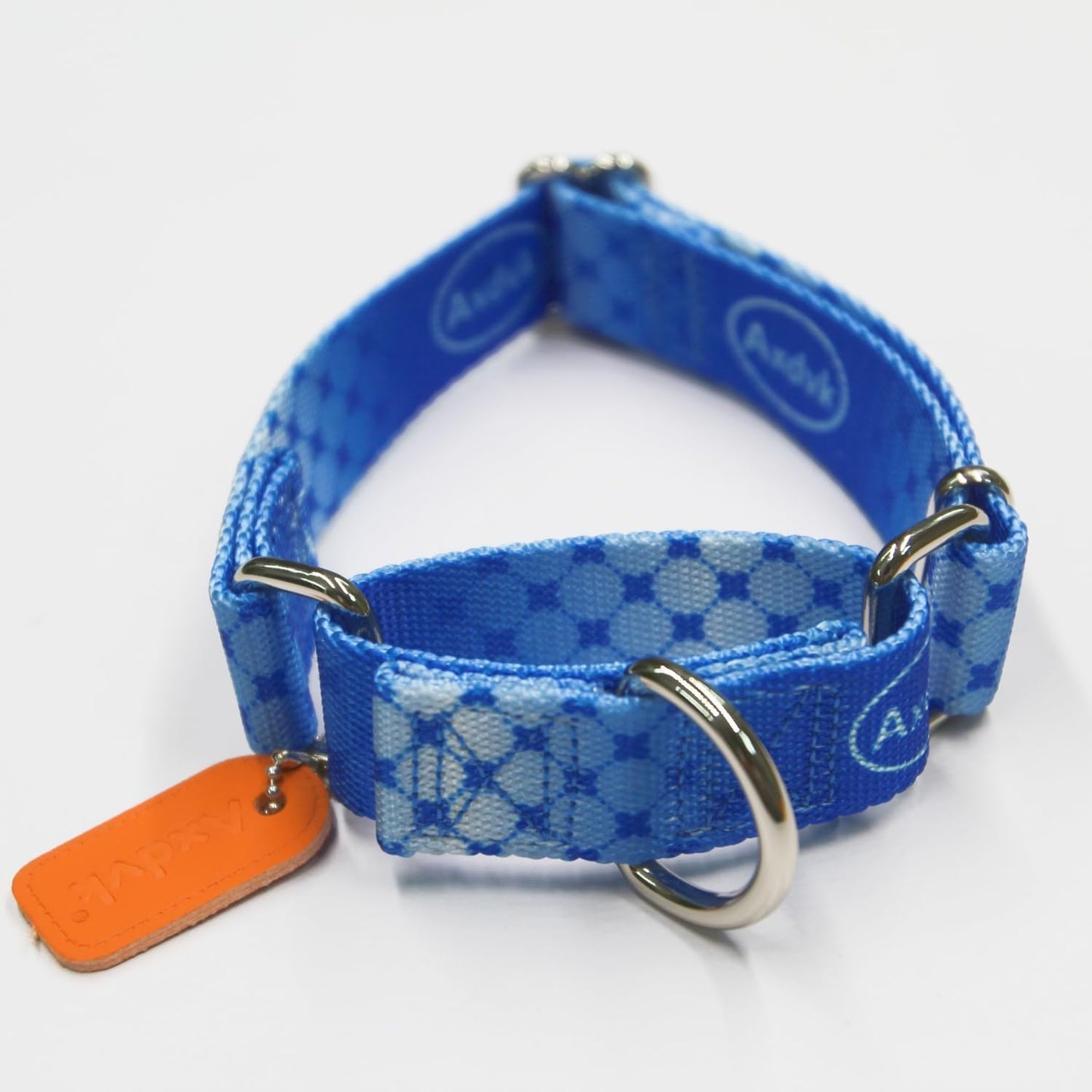 Martingale Dog Collar Colorful Gradient Fashionable - Anti-Escape Soft Durable Pets Collar for Walking Training Outdoor Daily Use -Medium, Blue Ocean