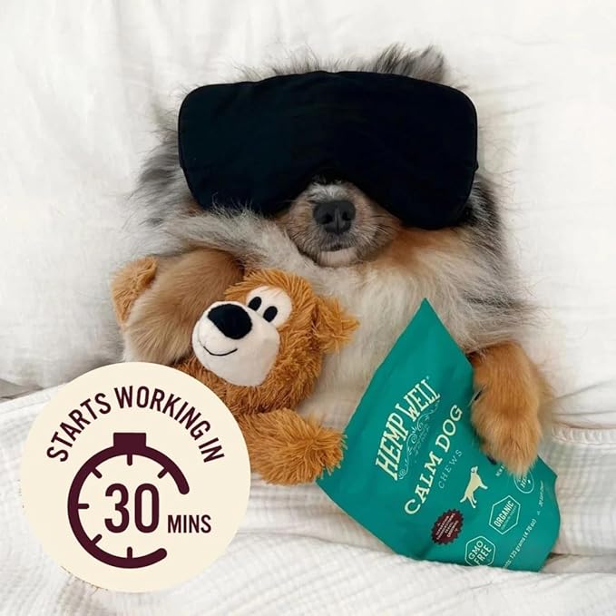 Organically Sourced Hemp Well Calm Dog Soft Chews - Anxiety Relief Treats for Dogs, Helps with Separation Anxiety and Travel, Melatonin and Hemp Dog Calming Chews (1 Pack (30 Chews))