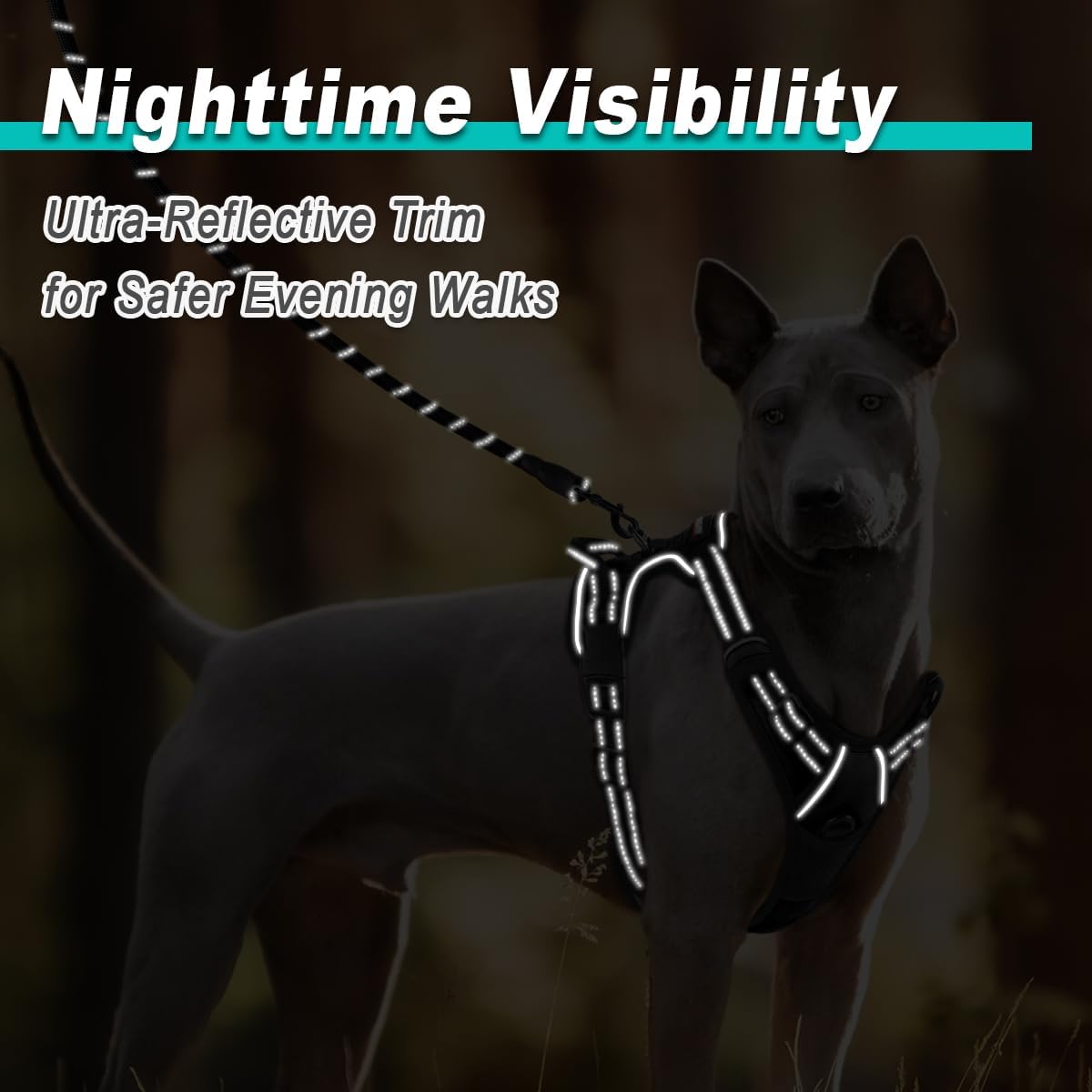 BARKBAY Dog Harness No Pull for Medium Dogs - Adjustable, Reflective, Comfortable, No Choke, Heavy-Duty - Perfect for Outdoor Training, Walking, and Hiking - Strong & Durable - M & Black