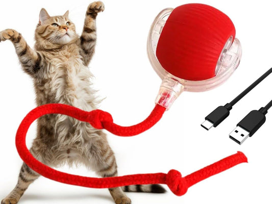 Interactive Rolling Cat Ball Toy [RED], LED Lights, for Indoor Adult Cats, Rechargeable, Smart Automatic Pet Ball, Speedy Tail/Rope, Fast on Carpet, Only for Active Cats