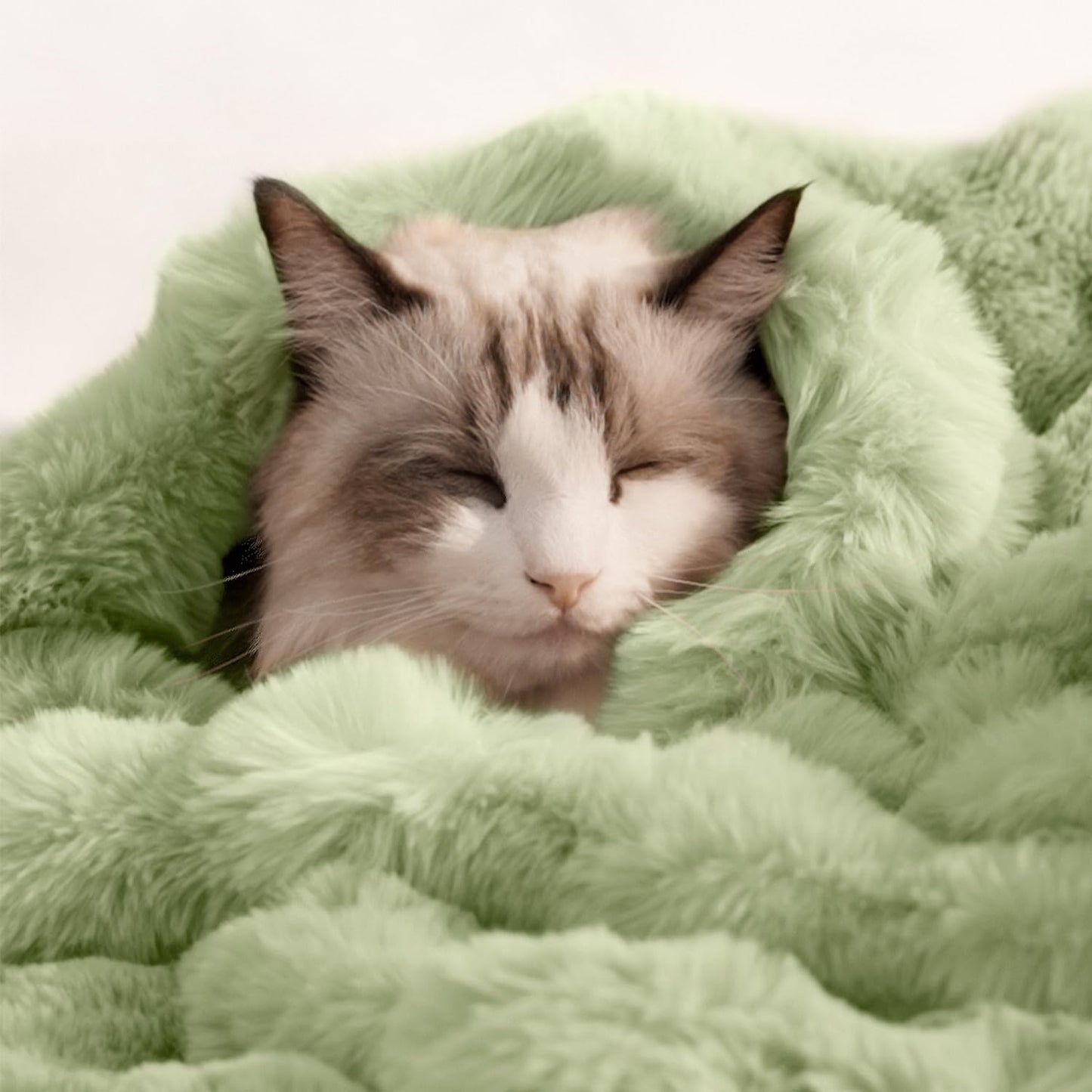 Cat Blanket for Indoor Cats Ultra Soft Plush Faux Fur Kitten Blankets Machine Washable Reversible Pet Throw Protector for Couch Furniture 21"X 18"Green