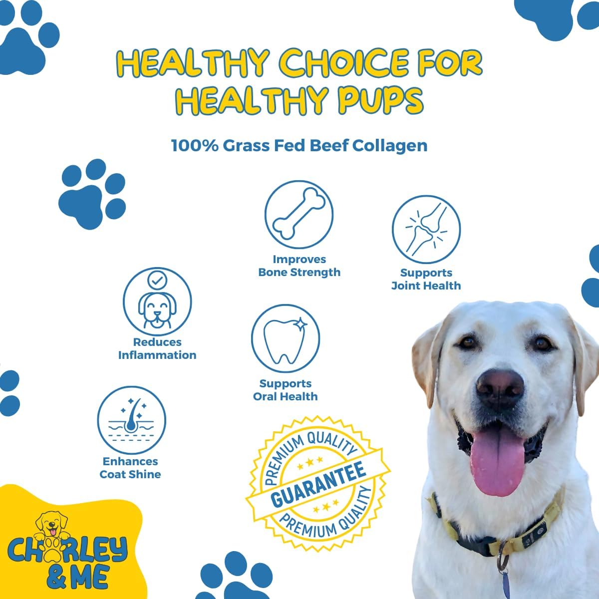 CHARLEY & ME Premium Collagen Sticks for Dogs - Long Lasting Dog Treats, Free Dog Chew Sticks - Hip & Joint Support, Healthy Skin, Shiny Coat - 100% Natural Beef - 6 Inches (Pack of 12)