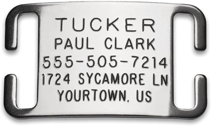 Boomerang Tags Dog Tag - Lasts Your Pets Lifetime - Personalized Dog Tags, Engraved Dog Tag, No Jingle Durable Curved Stainless Steel, Custom Dog Tags (Open End Small for 5/8 Inch Snap Style Collar)