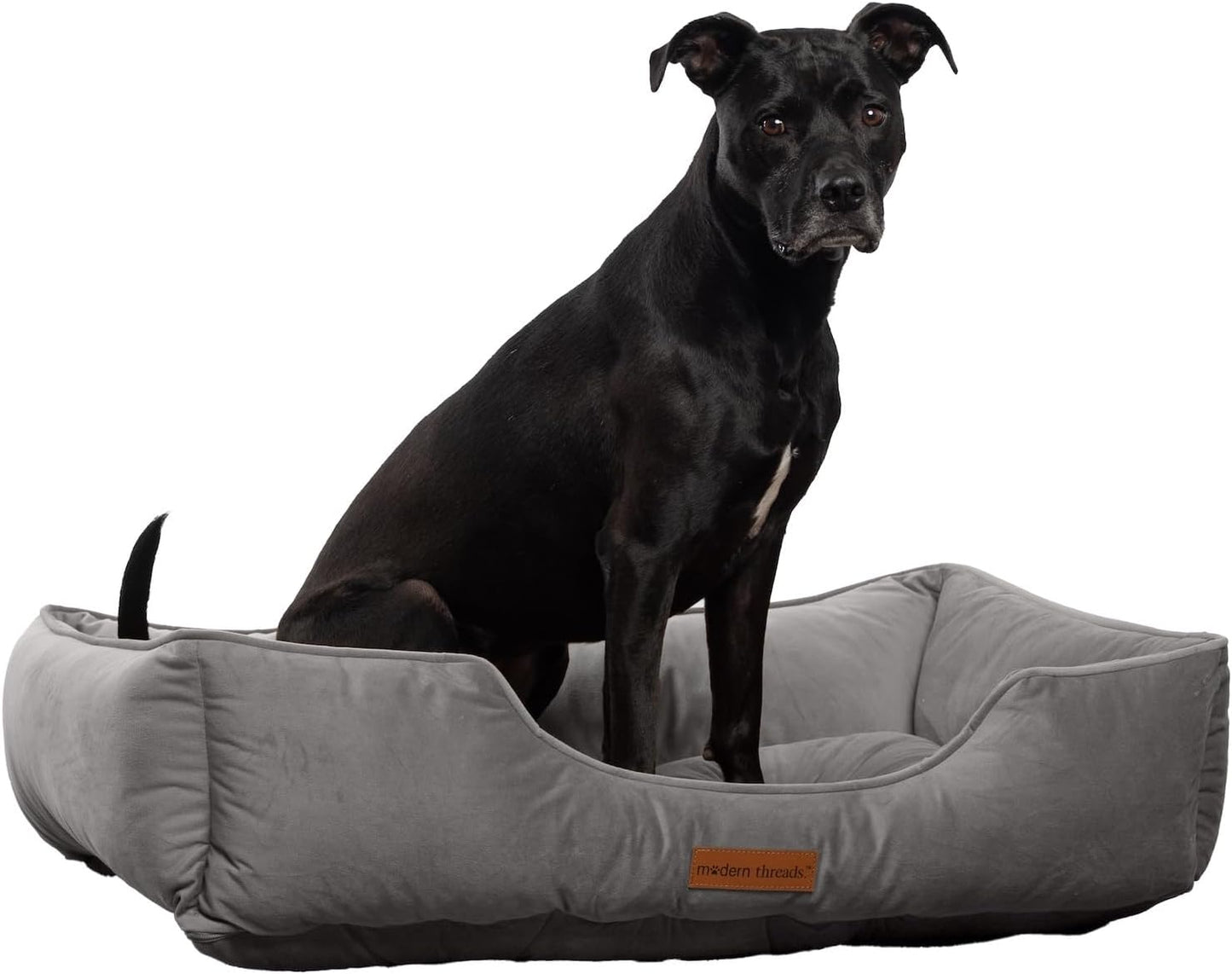 Modern Threads Luxury Dog Bed - Comfortable Tufted Velvet Cushion for Small to Large Dogs - Machine Washable - Durable & Cute Sleep Space for Pets - Pamper Your Pet with Cozy Beds - Charcoal
