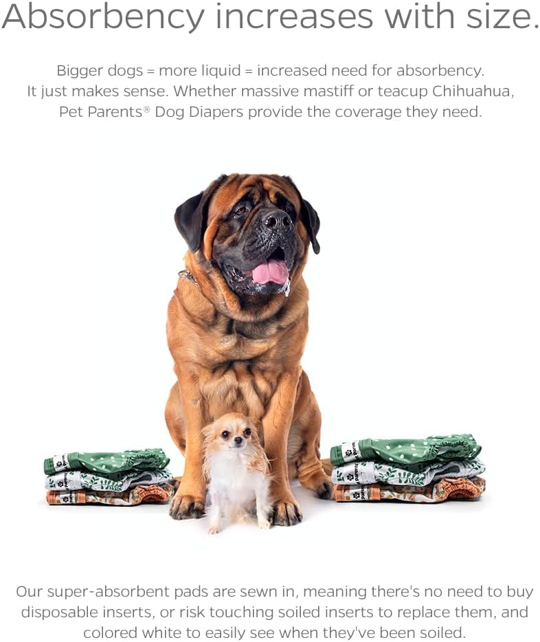 Pet Parents® Washable Dog Diapers (3pack) + Extendrs® of Durable Doggie Diapers, Premium Dog Diapers Female (X-Small, Daisy)