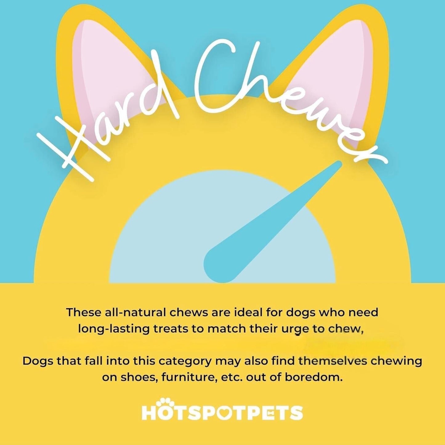 hotspot pets Braided Bully Sticks for Dogs - (12 Inch Stix- 5 Count) Premium All Natural Long Lasting Twisted Beef Pizzle Lasting Dog Chew Treats - Grain Free Fully Digestible Rawhide Alternative