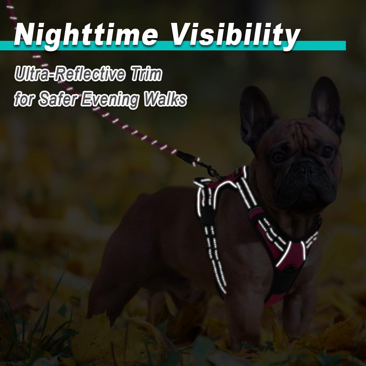 BARKBAY Dog Harness No Pull for Small Dogs - Adjustable, Reflective, Comfortable, No Choke, Heavy-Duty - Perfect for Outdoor Training, Walking, and Hiking - Strong & Durable - XS & Pink