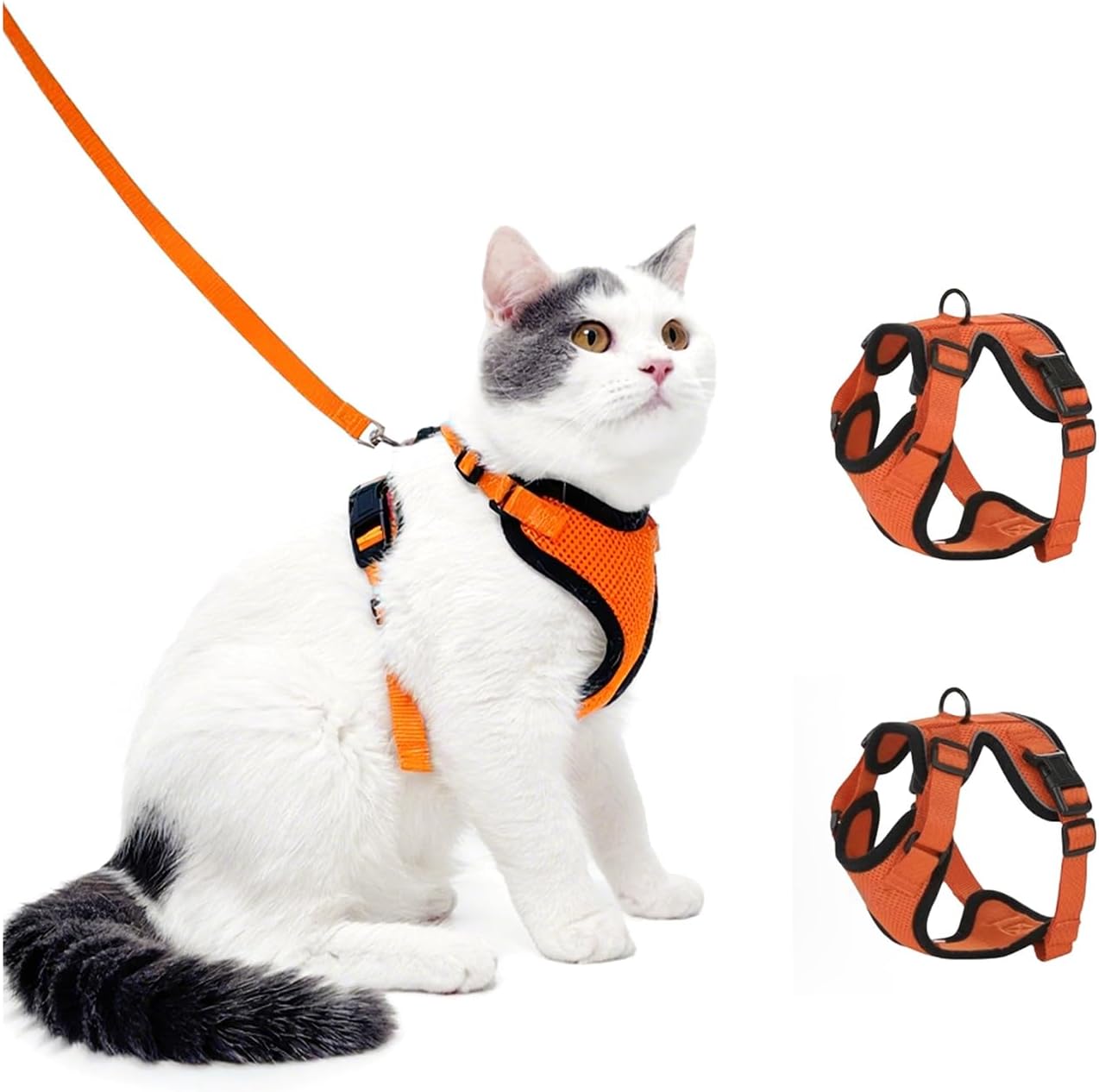Luxelle 2 Pack Escape-Proof Cat Harness and Leash Set for Walking – Adjustable No Pull Soft Vest with Easy-Wear Buckle, Reflective Straps, Breathable Mesh – Outdoor Travel Harness for Cats & Kittens