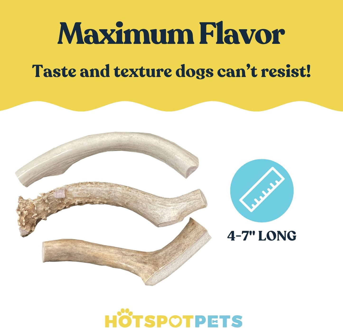 hotspot pets Small Premium Deer Antler for Dogs (3 Pack) - 4-7 Inch Long Lasting Antler Dog Chews Naturally Shed Deer Antlers Bone for Small & Medium Breed Aggressive Chewers - Sourced in USA