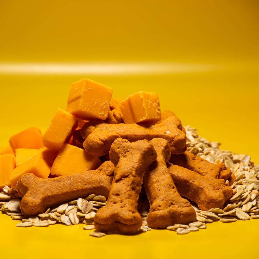Activa 2lb Cheddar Cheese Gourmet Dog Biscuits | Crunchy Dog Treats | (Medium, Cheddar Cheese)