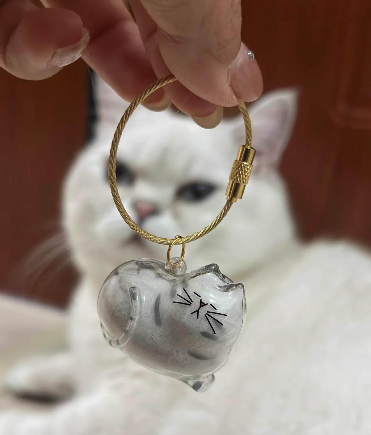 6Pcs Cat Hair Keychain - Pet Hair Memorial Keychain,Transparent Cat Fur Container,Portable Pet Keepsake for Cat Lovers,Cat Fur Memory Charm,Cat Fur Keepsake