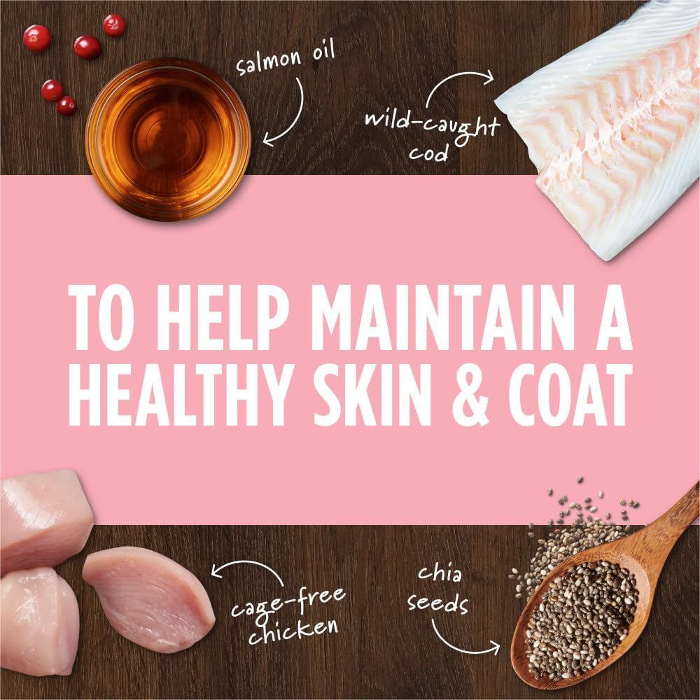 Instinct Raw Boost Mixers Skin & Coat Health Freeze-Dried Dog Food Topper, 5.5 oz. Bag