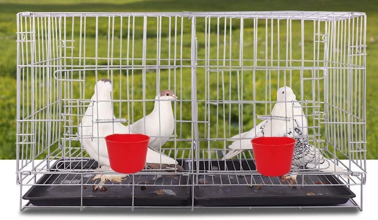 40 Pack Cage Cups Birds Feeders Seed Bowl Chicken Feeding Watering Dish Rabbit Water Food Hanging Wire Cages Box 8oz Coop Cups for Pet Parrot Parakeet Gamefowl Poultry Pigeon (Red)