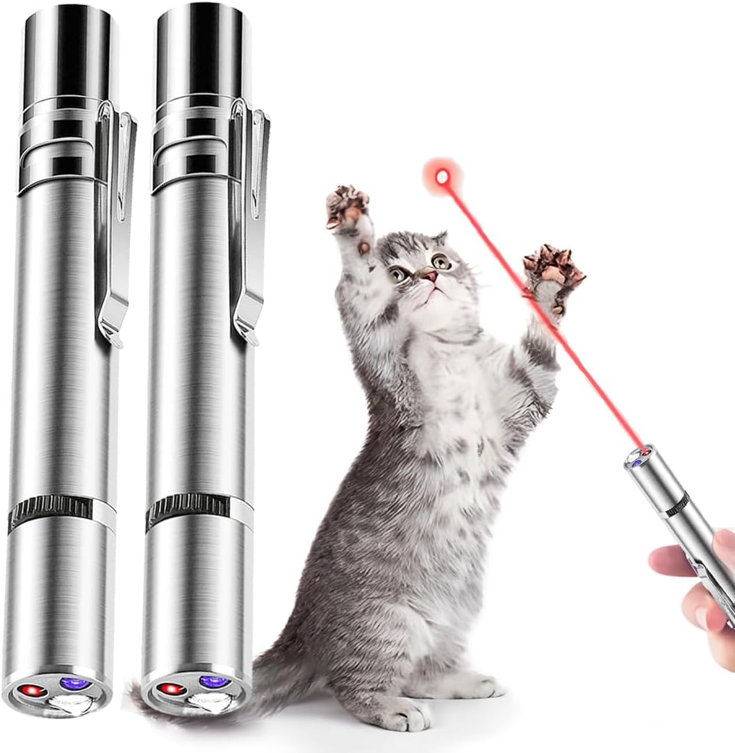 Cat Laser Pointer Toy, 2 Pack Rechargeable Cat Interactive Toys, Pet Toys
