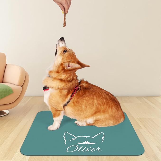 Personalized Dog Food Mats for Floors Custom Pet Placemat Mats for Food and Water Waterproof Customized Pet Food Mat with Name Gifts for Dog & Cat Owners Design 4