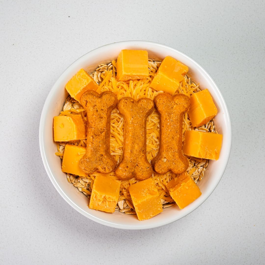 Activa 2lb Cheddar Cheese Gourmet Dog Biscuits | Crunchy Dog Treats | (Medium, Cheddar Cheese)