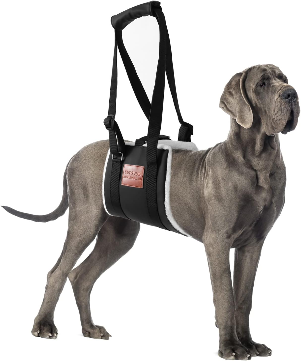 Dog Sling for Back Legs, Dog Lift Harness, Magic Tape Dog Sling for Large Dogs Hind Leg Support, Elderly Dog Lifter, Help Canie Hip Arthritis K9 Cruciate Ligament Rehabilitation (Medium)
