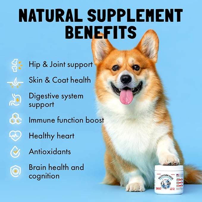 Dog Vitamins - 120 Multivitamins Chews w/Glucosamine Chondroitin, Probiotics Digestive Enzymes and Omegas - Supplement for Overall Health - Joint Support, Immune Health, Skin and Heart Health
