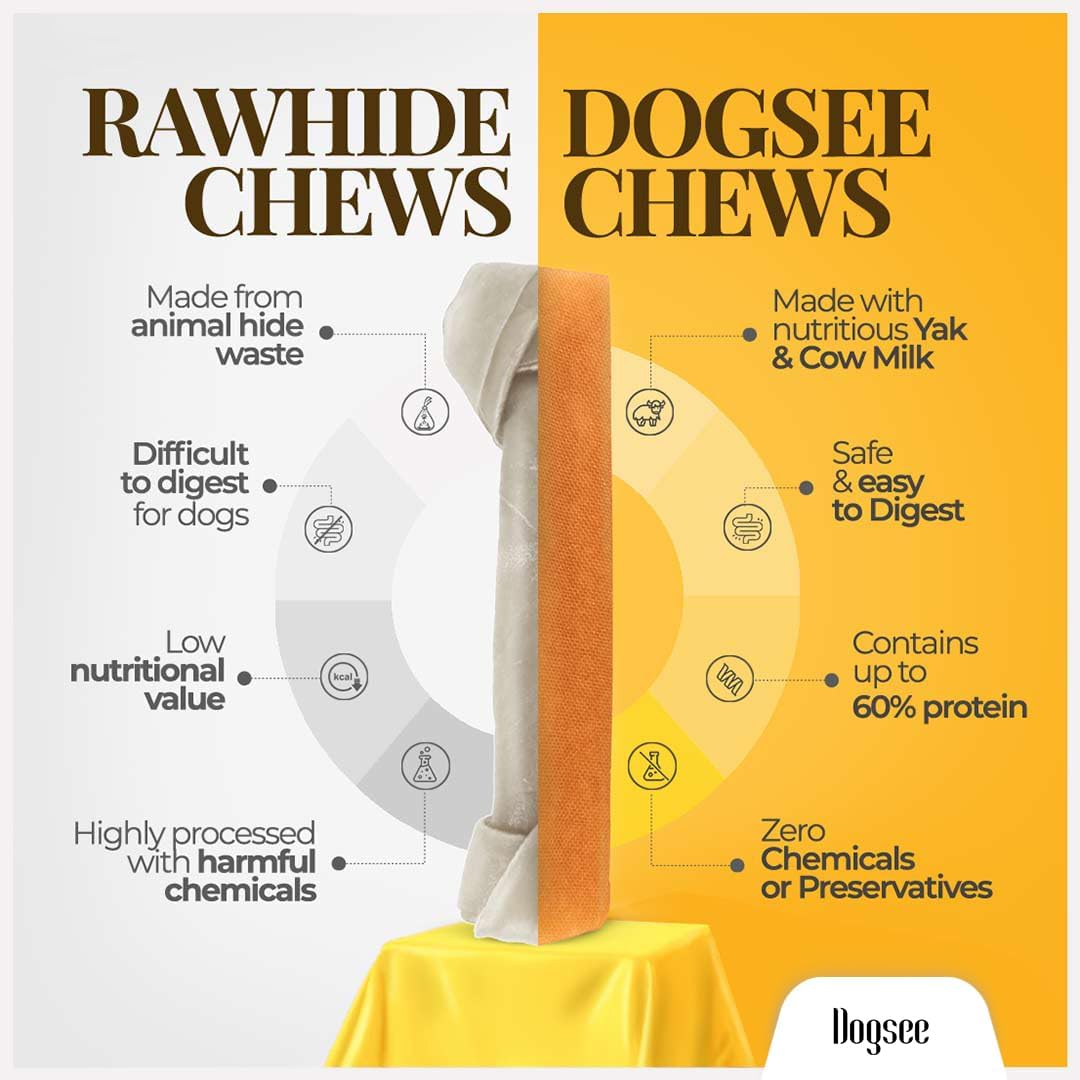 Dogsee Himalayan Yak Chews with Turmeric/Curcumin (XL - 6 Bars, 2lb) | Natural & Long-Lasting | Yak Chews for Large Dogs | Anti-Inflammatory | Supports Oral Hygiene | Rawhide-Free Treats