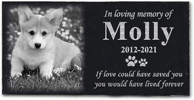 ODB Personalized Pet Memorial Stones, Black Granite Memorial Garden Stone Engraved with Photo, Gifts for Someone Who Lost a Loved One, or Pet, Dog, Cat (with Photo)